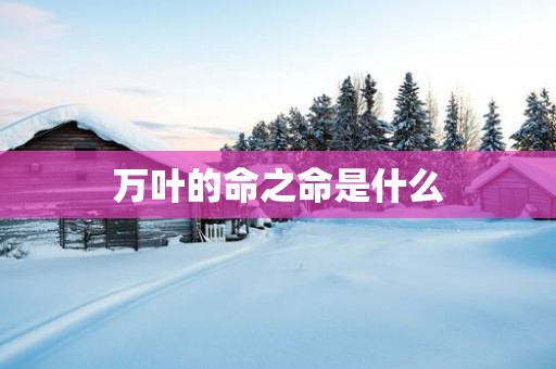 万叶的命之命是什么
