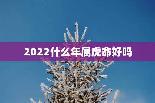 2025什么年属虎命好吗