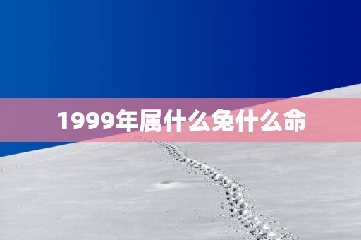 1999年属什么兔什么命