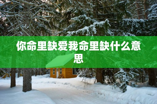 你命里缺爱我命里缺什么意思