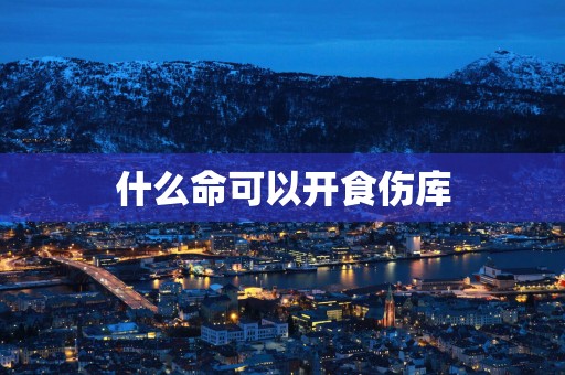 什么命可以开食伤库