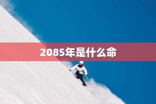 2085年是什么命