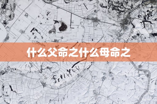 什么父命之什么母命之