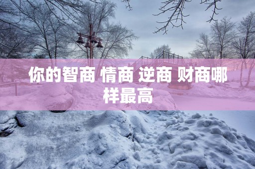 你的智商 情商 逆商 财商哪样最高