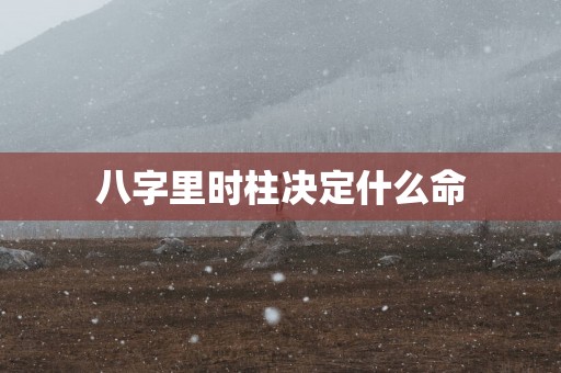 八字里时柱决定什么命