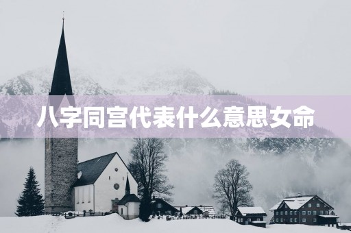八字同宫代表什么意思女命