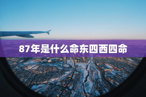 87年是什么命东四西四命