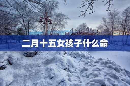 二月十五女孩子什么命