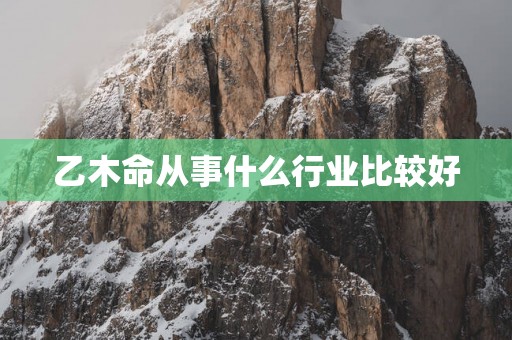 乙木命从事什么行业比较好