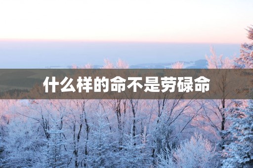 什么样的命不是劳碌命