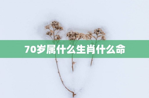 70岁属什么生肖什么命
