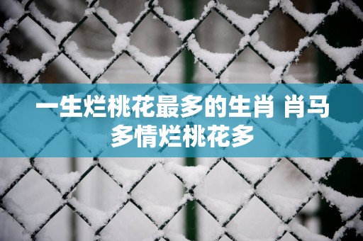 一生烂桃花最多的生肖 肖马多情烂桃花多