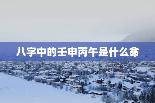 八字中的壬申丙午是什么命
