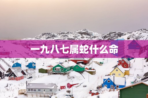 一九八七属蛇什么命