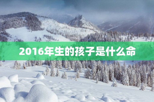 2016年生的孩子是什么命