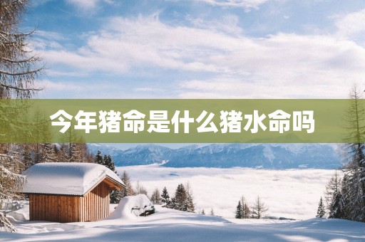 今年猪命是什么猪水命吗