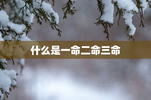 什么是一命二命三命