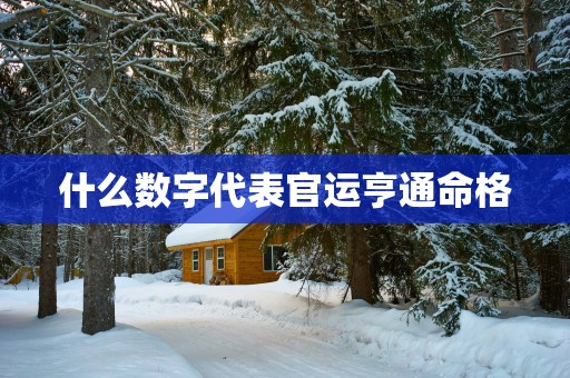 什么数字代表官运亨通命格