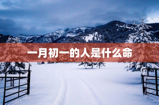 一月初一的人是什么命
