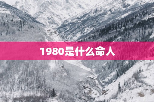 1980是什么命人