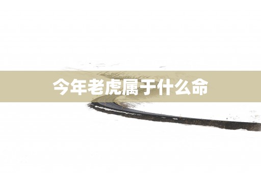 今年老虎属于什么命