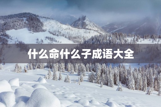 什么命什么子成语大全
