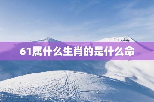 61属什么生肖的是什么命