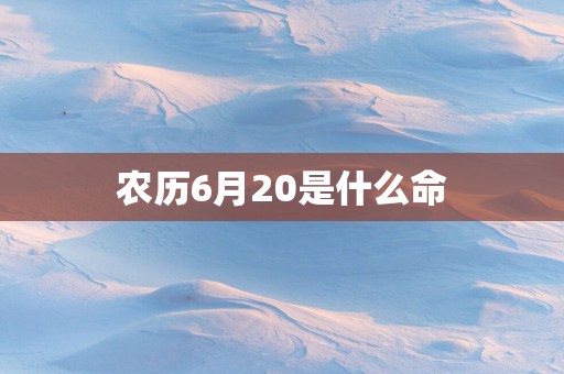 农历6月20是什么命