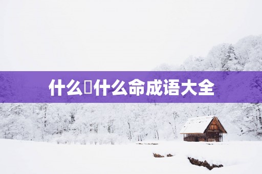 什么財什么命成语大全