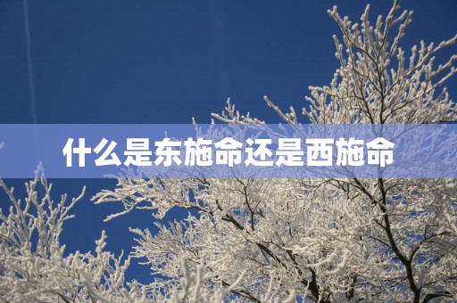 什么是东施命还是西施命