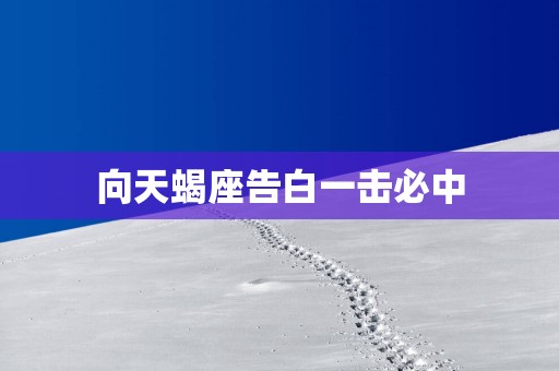 向天蝎座告白一击必中