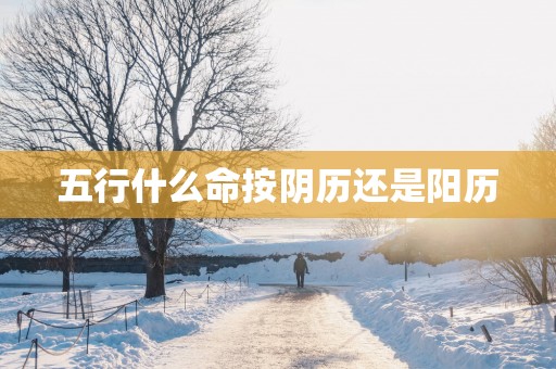 五行什么命按阴历还是阳历