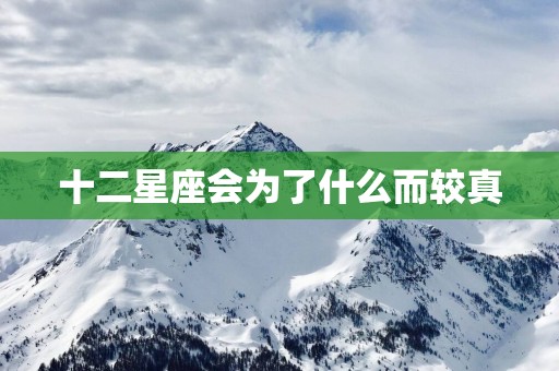 十二星座会为了什么而较真