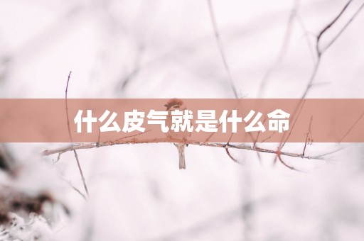 什么皮气就是什么命