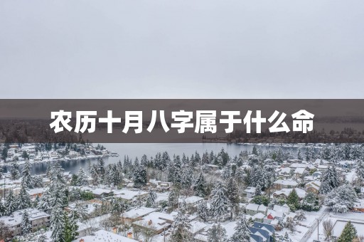 农历十月八字属于什么命
