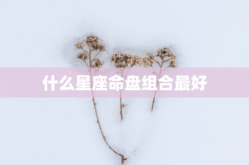 什么星座命盘组合最好