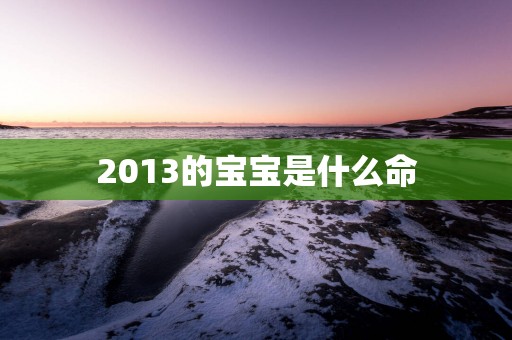 2013的宝宝是什么命