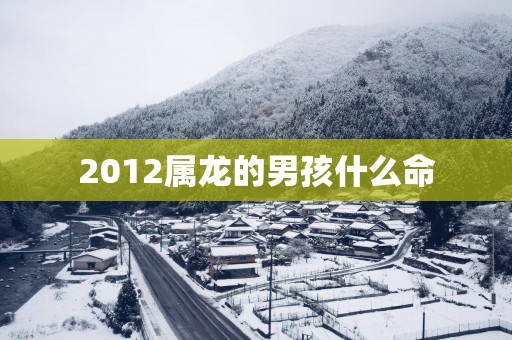 2012属龙的男孩什么命