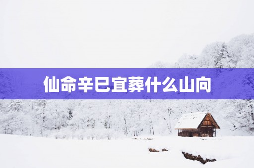 仙命辛巳宜葬什么山向