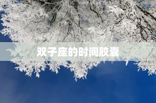 双子座的时间胶囊