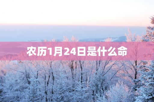 农历1月24日是什么命