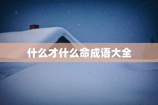 什么才什么命成语大全