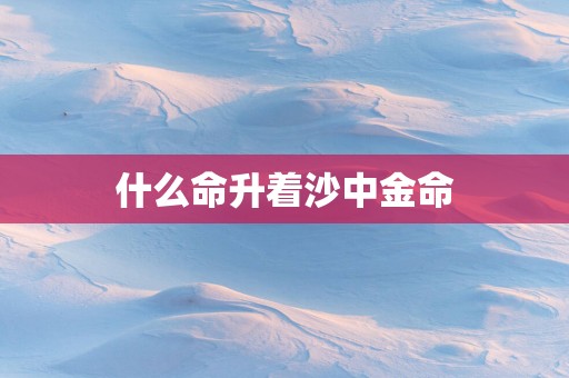 什么命升着沙中金命