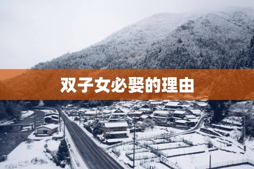 双子女必娶的理由