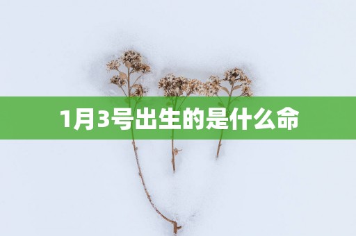 1月3号出生的是什么命