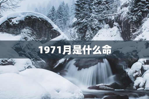 1971月是什么命