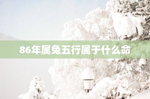 86年属兔五行属于什么命