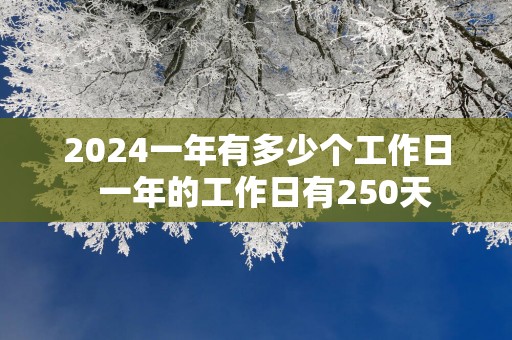 2025一年有多少个工作日  一年的工作日有250天