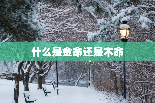 什么是金命还是木命
