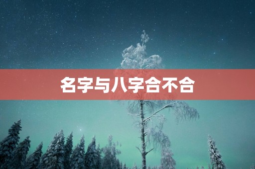 名字与八字合不合